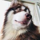 北京合思信息技术有限公司 Employee 李夏鼎's profile photo