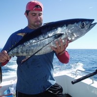 None Employee Dan Schick's profile photo