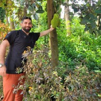 exonbio Employee Aras Arya's profile photo