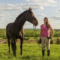 United Studies, Inc. Student Exchange Employee Carin Brown's profile photo