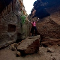 VETIMEC Employee Melissa Negrini's profile photo