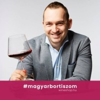 KS Fogszabályozó és Dental Stúdió Employee Zsolt Pintér's profile photo