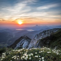 National Informatics Center Employee Aparna Khare's profile photo