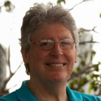 Instituto Peabiru Employee Oswaldo Braglia's profile photo