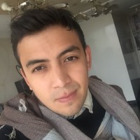 Arley Fabian Cely Carvajal Email
