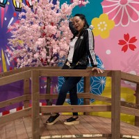 HYPLAND Employee Stephanie Carter's profile photo