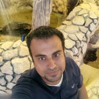 Mohamed Tarek Email & Phone Number