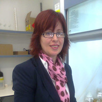Dynamix Pharmaceuticals Employee Sima Mirilashvili's profile photo