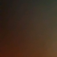 Forte Group Srl Employee Paolo Galluzzi's profile photo