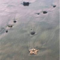 hospital Employee Jennifer Holt's profile photo