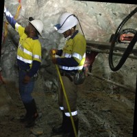 WALKABOUT RESOURCES LTD (ASX:WKT) Employee Hilal Mansoury's profile photo