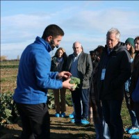 INTIA Employee Iñigo Arozarena González's profile photo