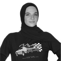 Alaa Shafshak Email & Phone Number