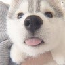 Shh 🤫 Employee Jasmine E's profile photo