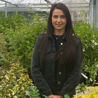 Arboretum Garden Centre Employee Nicole Foley's profile photo