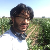 T-Rupt Employee Ismail Kök's profile photo