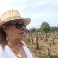 Utn Employee Genoveva Chaverri Chaverri's profile photo