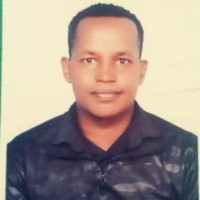 Abebe Badacho Email