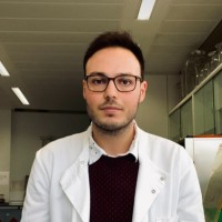 Alexander Borg Email