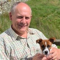 GSC Grays Employee David Gray's profile photo