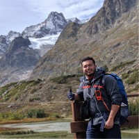 David Castillo Email & Phone Number