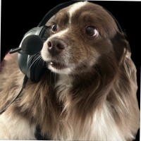 Kristopher Terrill Email & Phone Number