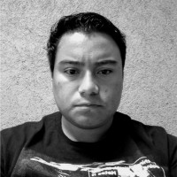Realhost SA de CV Employee Héctor José Martínez Salinas's profile photo
