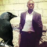 Solutions S.A. Employee Louis-Jeune Jimmythrio's profile photo