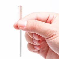 Phoenix Medical Employee Liz Everett's profile photo