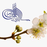 DAf Employee Zeeshan Arian's profile photo
