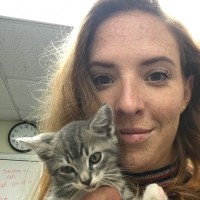 Gotham Veterinary Center Employee Alyson Bradshaw's profile photo