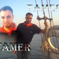 Computer Shop Employee Tamer Maher's profile photo