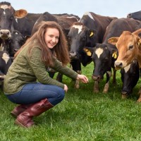 British Food Box Employee Hannah Davies's profile photo
