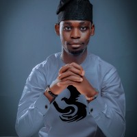 Systems Intelligenz Employee David Oludotun's profile photo