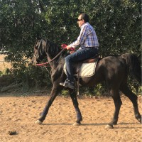 Tabarak Holding Employee Mohie Fathalla's profile photo