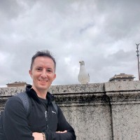 BEF Biosystems Employee Daniele Impellizzeri's profile photo