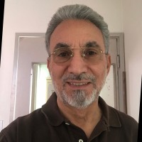 Bruce di Meo