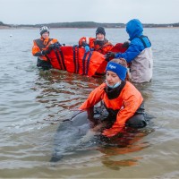 Victoria Zelinski Email & Phone Number