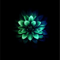 Well Romania Employee Irina Coste's profile photo