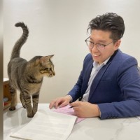 None Employee Shawn Sheng's profile photo