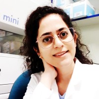 Faculty of Veterinary Medicine University of Zagreb Employee Vida Eraghi's profile photo