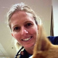 Colorado State University Employee Tracy Webb's profile photo