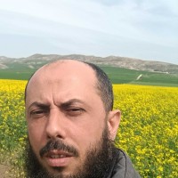 Rabii Jebabli's profile photo