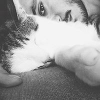 Brian Collins