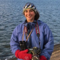 ORCA (Organisation Cetacea) Employee Layla Sklar's profile photo