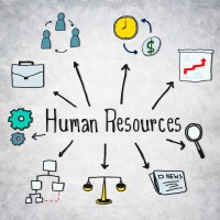 STEMbotix Employee Hr's profile photo
