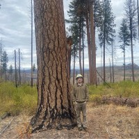 U.S. Forest Service Employee Jack Samuelson's profile photo