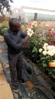 Kenya Flower Council Employee Michael Waihenya's profile photo