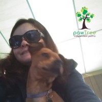 Dawn Fairbee Email & Phone Number