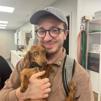 VetoAdom - urgences vétérinaires à domicile - by Émergence Employee Théo Delsarte's profile photo